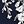 Navy White