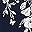 Navy White