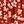 Red Floral