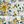 Floral White