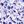 Purple Floral