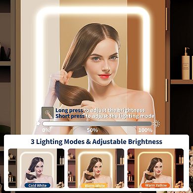 ANIXOL Lighted Makeup Vanity Desk Set