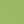 Matcha Green