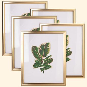 Matte Gold 8x10 Picture Frame Set of 5 with HD Glass for Tabletop or Wall