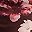Berry Floral