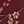 Burgundy Red Taupe