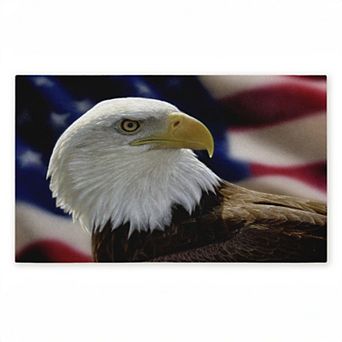 Stupell Home Decor American Bald Eagle Doormat