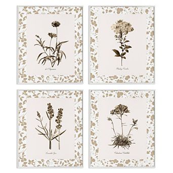Stupell Home Decor Neutral Imperial Flower Studies 4 pc Framed Canvas Wall Art Set