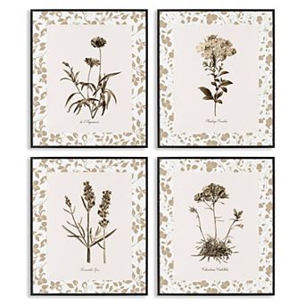 Stupell Home Decor Neutral Imperial Flower Studies 4 pc Framed Canvas Wall Art Set