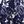 Blue Black Navy
