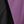 Black Purple