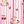 Pink Teddy