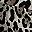 Leopard Print