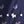 Teddy Bear Navy
