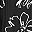 Black White Flower