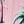 Pink Flamingo