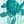 Green Turtle