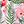 Pink Floral