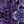 Boho Purple