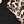 Black Leopard