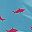 Blue Shark