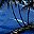 Palm Tree Blue