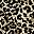 Black Leopard