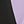 Black Purple