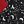 Black Star Wine Red