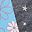 Flower Blue Star
