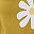 Yellow Flower