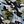 Blue Grey Camouflage