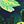 Green Leaf