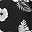 Black White Floral