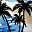 Blue Coconut Tree