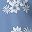 Blue White Flower