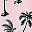 Pink Coconut Tree