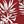 Red Tropical Leaf