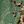 Deegreen
