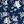 Navy Blue White Floral