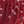 Red Floral