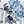 White Blue Floral