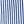 Bluestripe