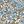 Floral Blue