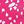 Hot Pink Floral