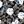 Flower Black