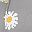 Grey Daisy