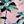 Pink Green Palm