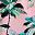 Pink Green Palm
