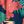 Red Blue Teal